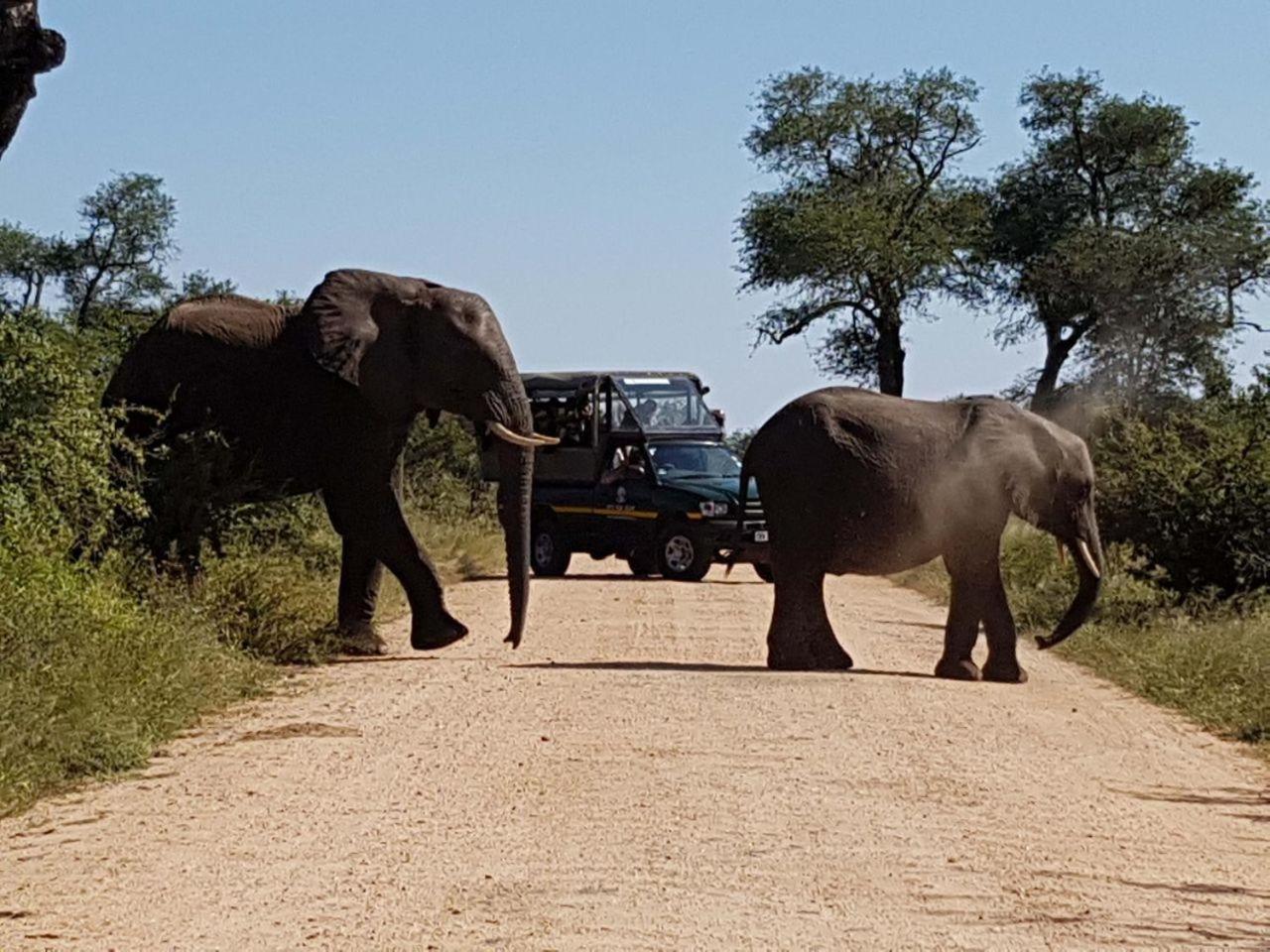 Ekhaya Bush Lodge Hoedspruit Exteriör bild