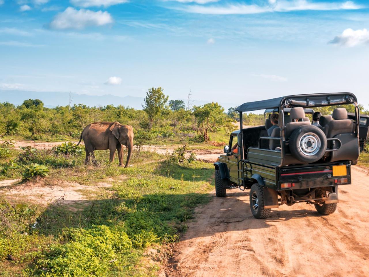 Ekhaya Bush Lodge Hoedspruit Exteriör bild
